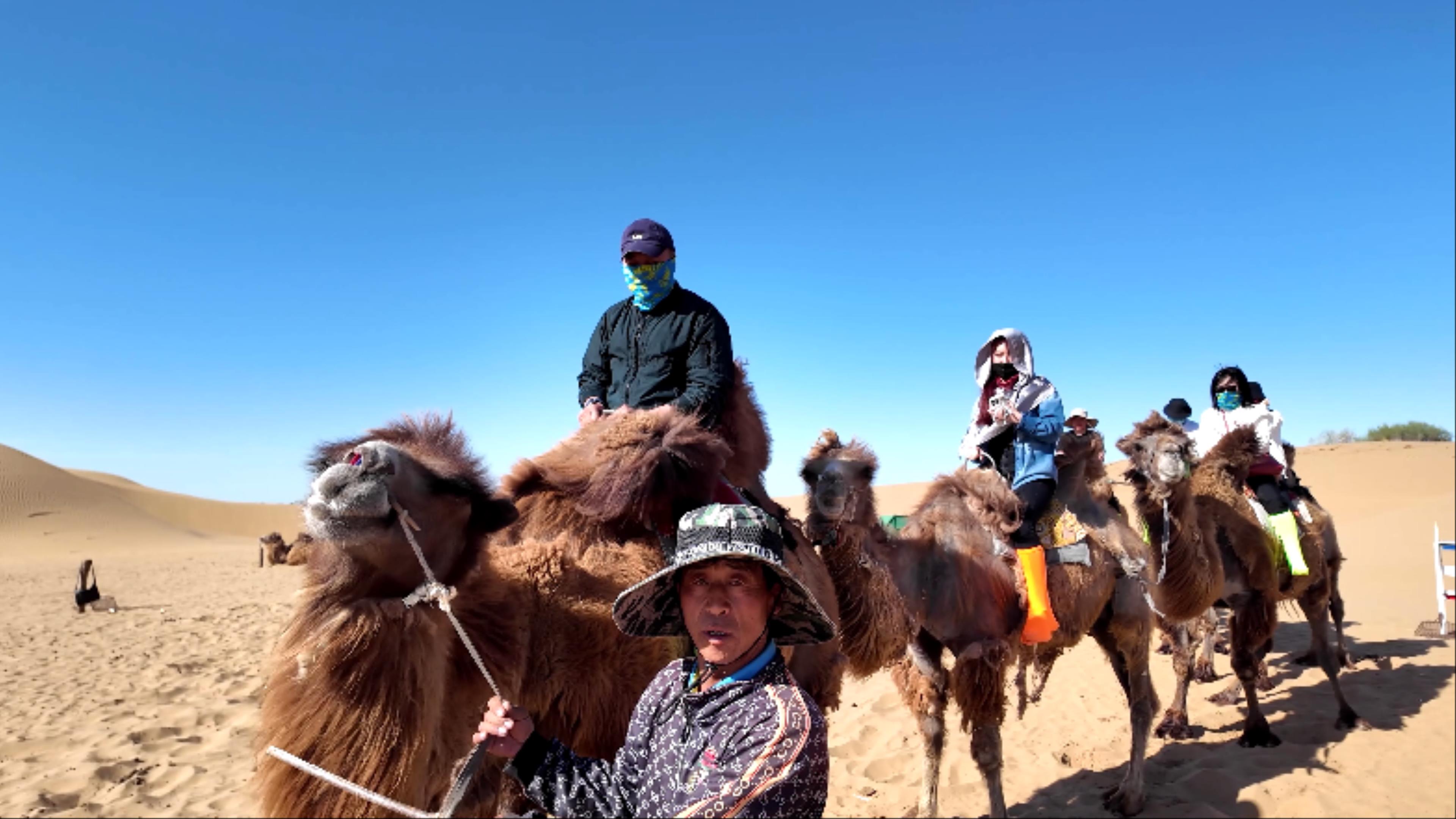 🐫 낙타 트래킹 체험